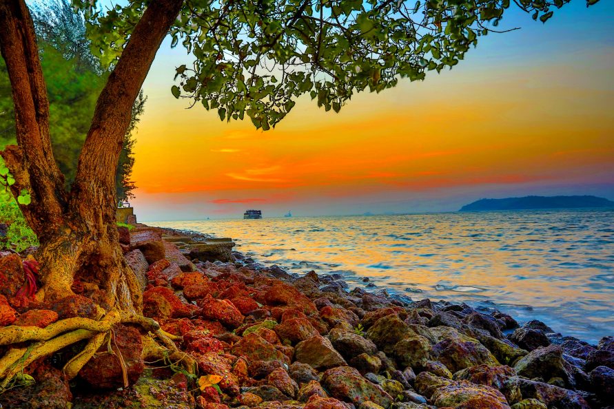 В Будущее за воспоминаниями