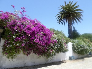 тунис-сайт-природа