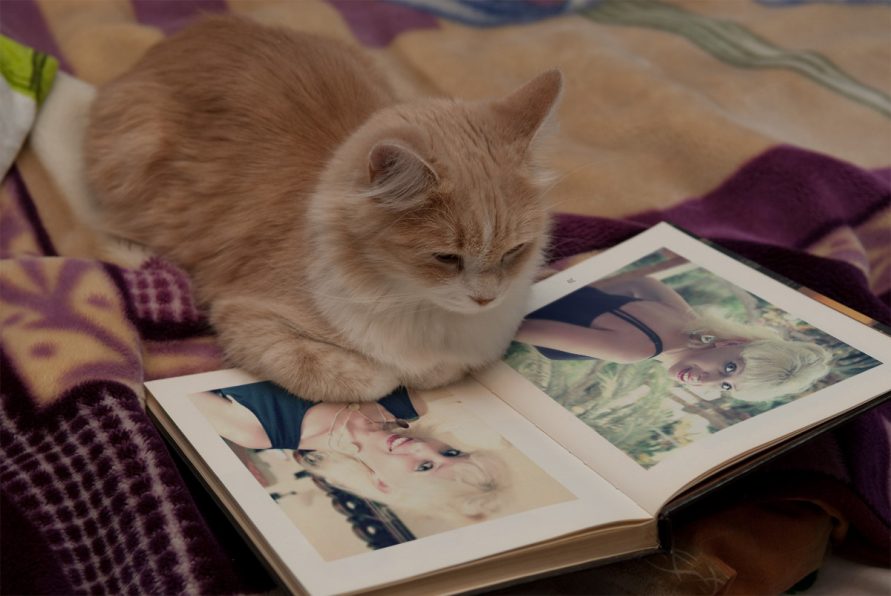 PhotoFunia-1579814598